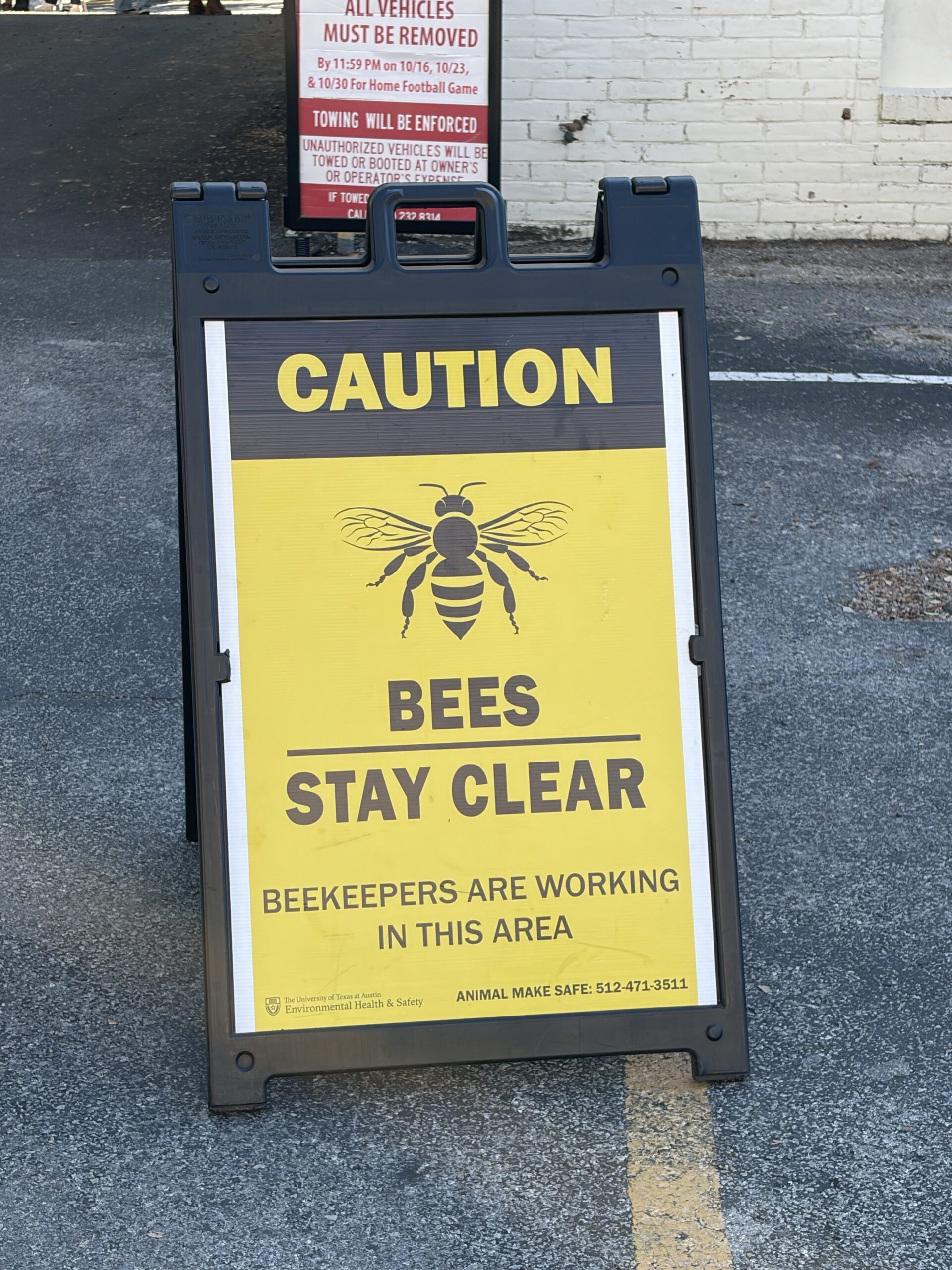 Bees