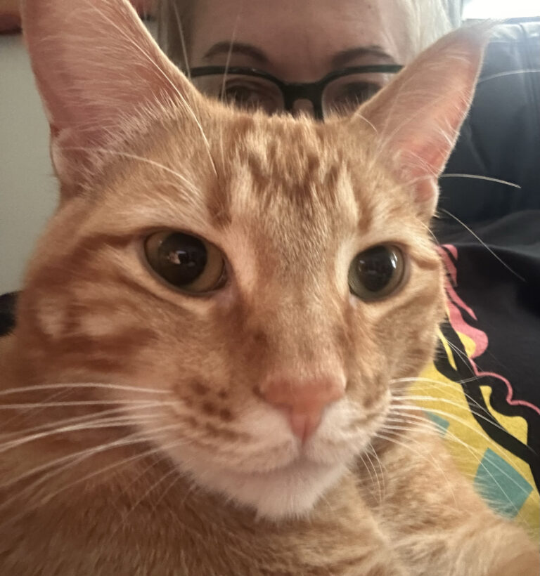 Lazy Monday