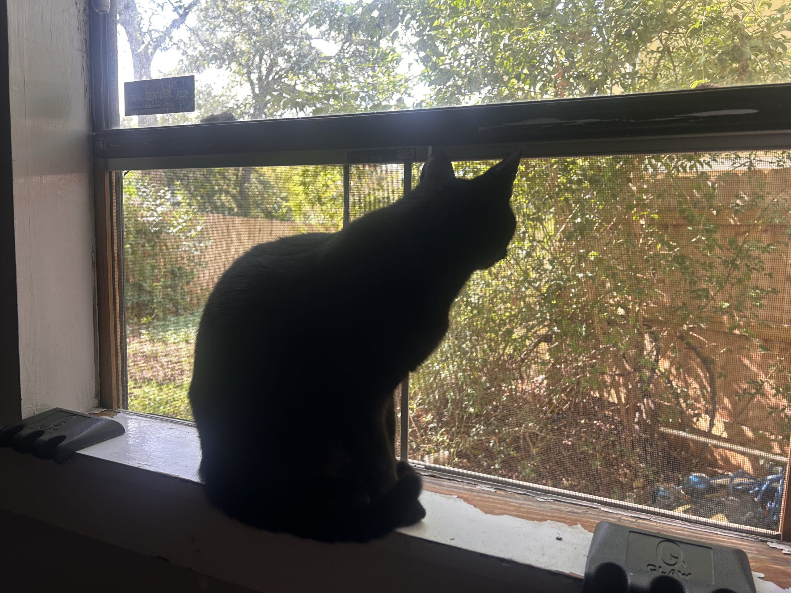Inside Looking Out