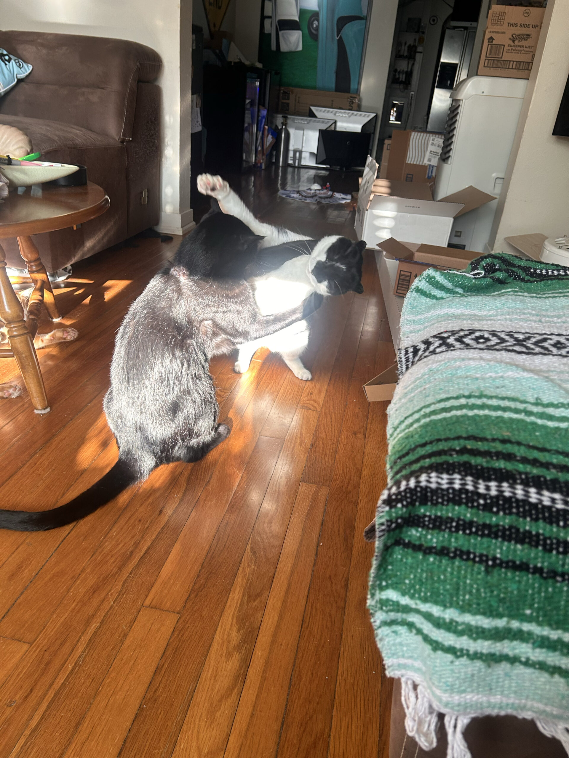 The Takedown